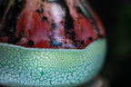01-C Rainbow Serpent Flared Fat-Bottomed Mug, 26 oz.