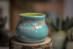 13 Small Acorn Cup, 8 oz.