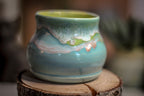 13 Small Acorn Cup, 8 oz.