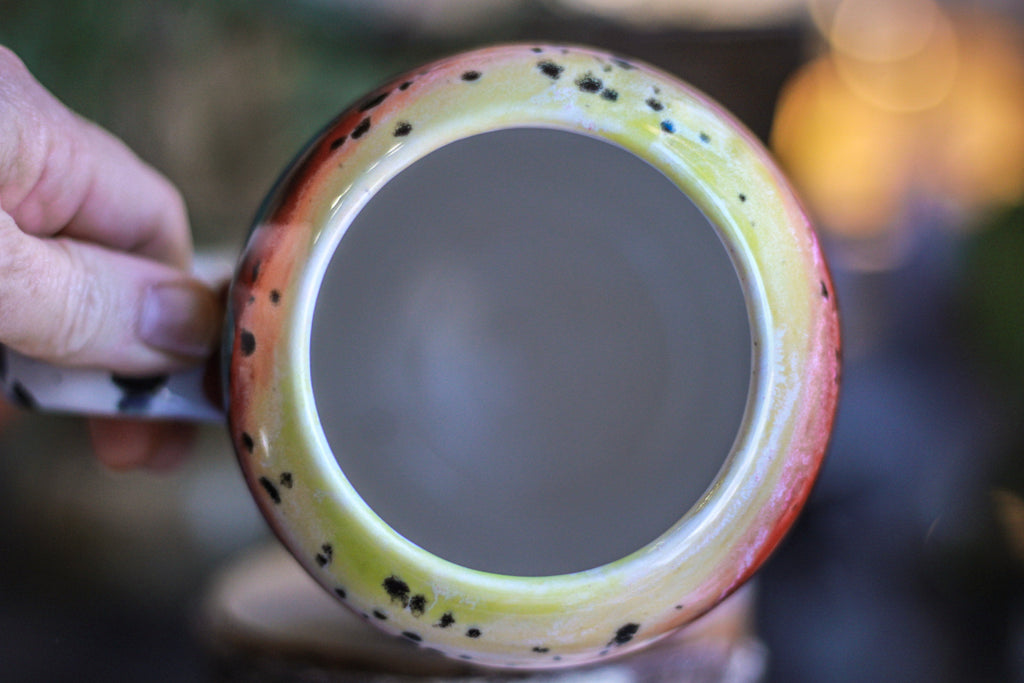 01-B Desert Rainbow Gourd Mug, 26 oz.
