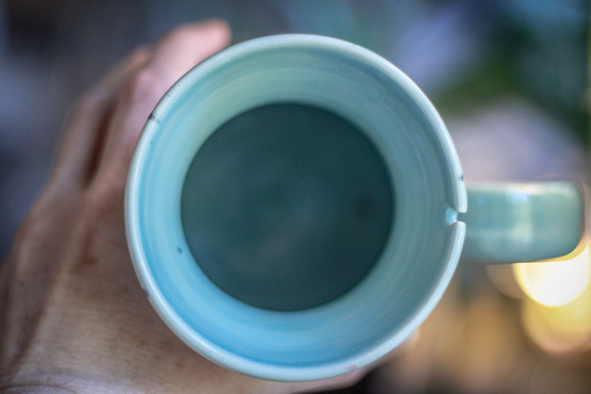 DRAWING WINNER: 02-B Champlain Falls Notched Flared Acorn Mug - TOP SHELF, 24 oz.