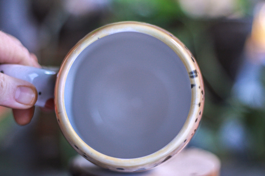 01-A Desert Rainbow Gourd Mug, 26 oz.