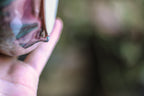 12-D Aqua Falls Acorn Mug - MINOR MISFIT, 24 oz. - 10% off
