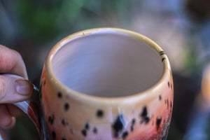 01-A Desert Rainbow Gourd Mug, 26 oz.