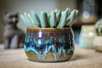 14-E PROTOTYPE Planter - MISFIT, - 15% off