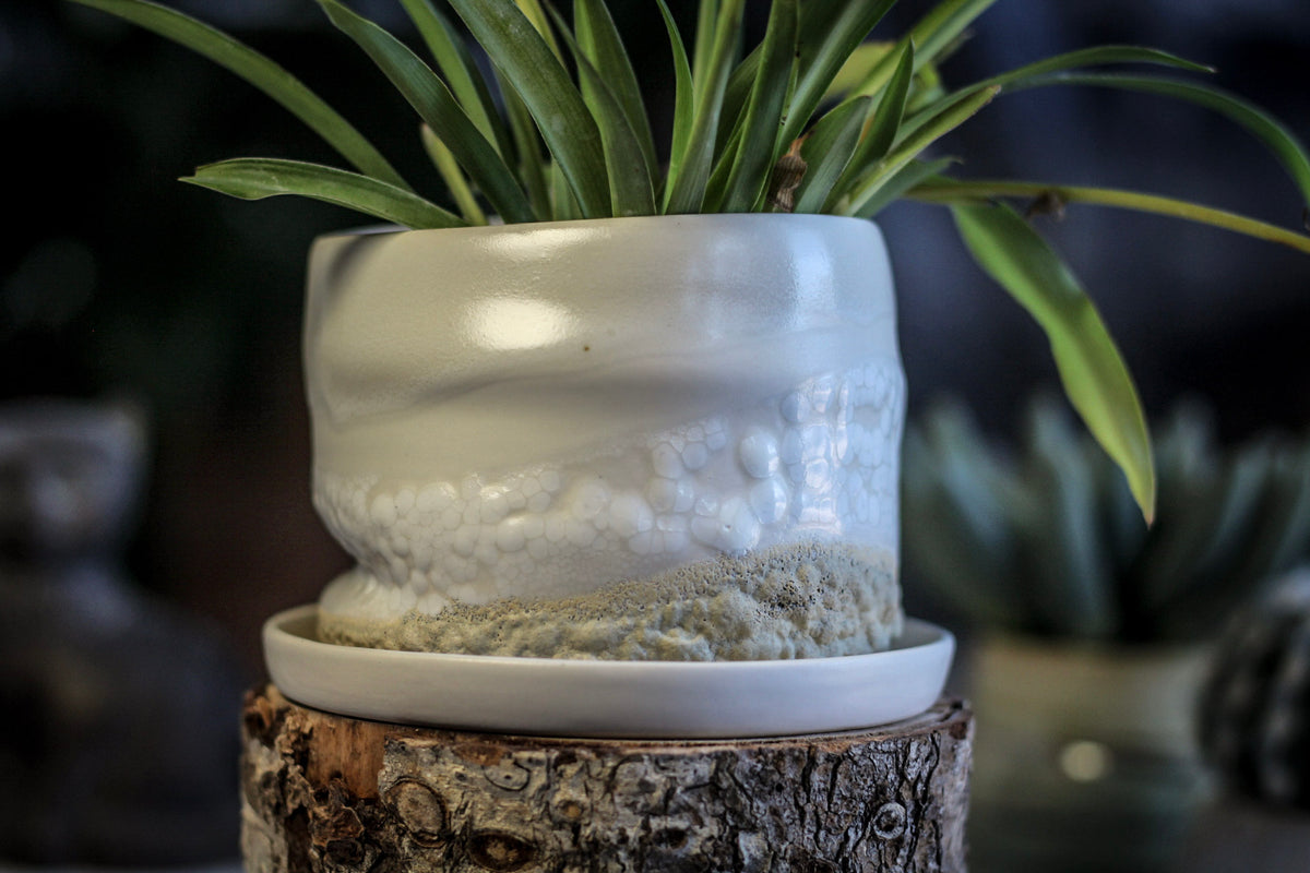 12-E EXPERIMENT Planter with Dish