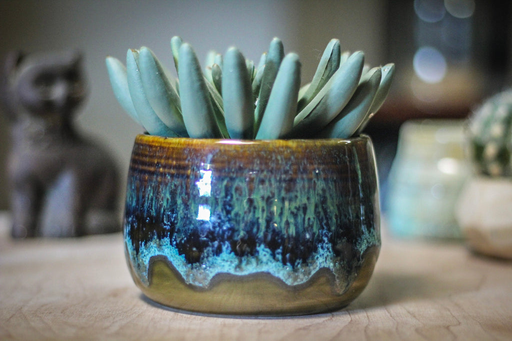 14-E PROTOTYPE Planter - MISFIT, - 15% off