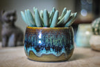 14-E PROTOTYPE Planter - MISFIT, - 15% off