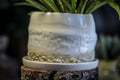 12-E EXPERIMENT Planter with Dish