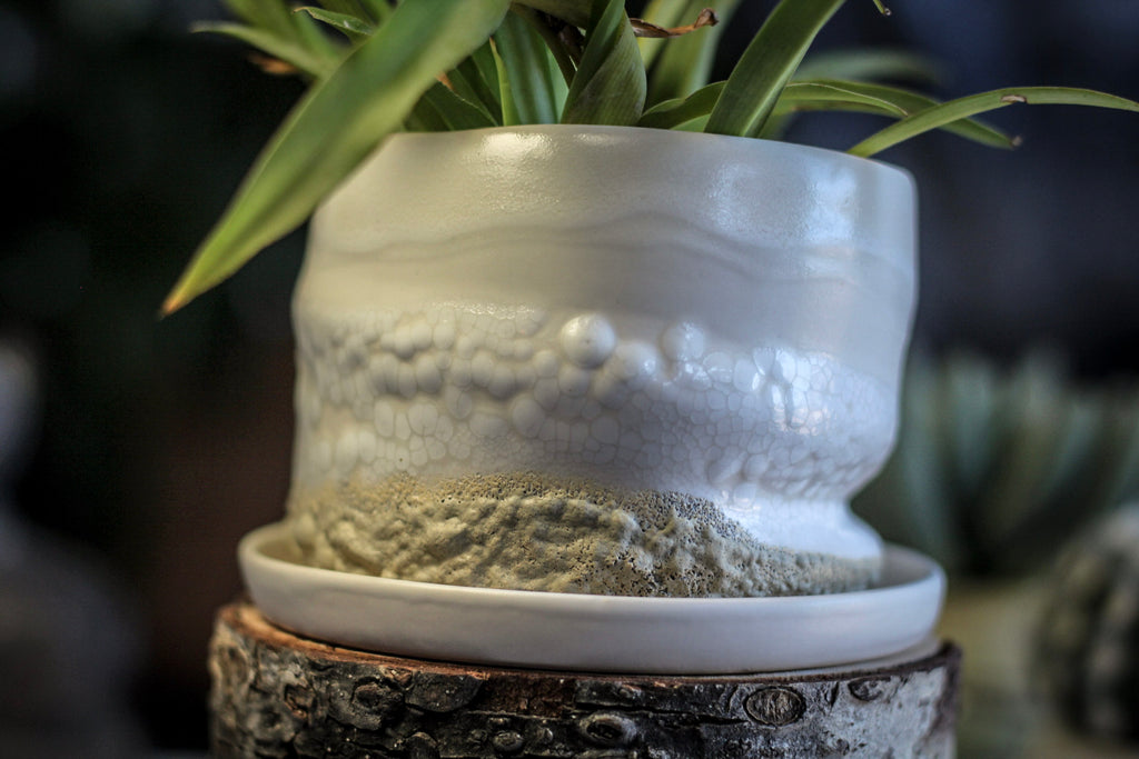 12-E EXPERIMENT Planter with Dish