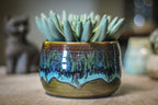 14-E PROTOTYPE Planter - MISFIT, - 15% off