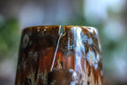 11-B Desert Oasis Crystal Notched Mug, 24 oz.