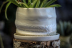 12-E EXPERIMENT Planter with Dish