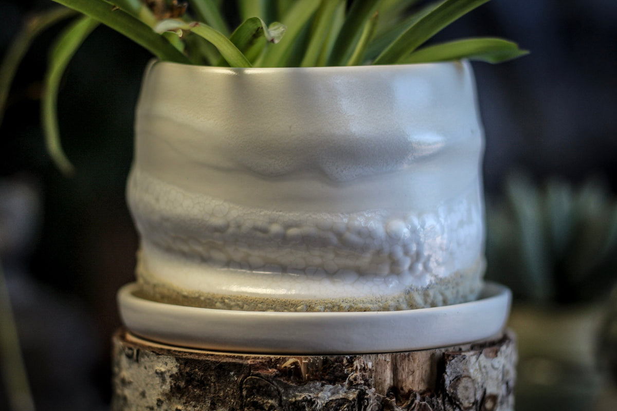 12-E EXPERIMENT Planter with Dish
