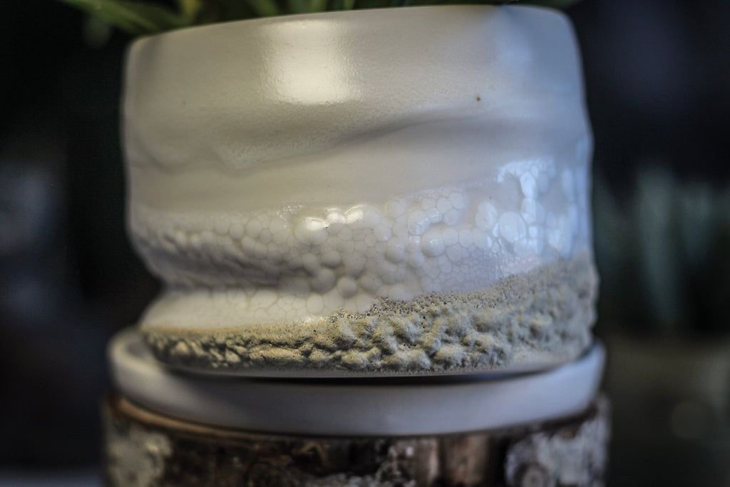 12-E EXPERIMENT Planter with Dish