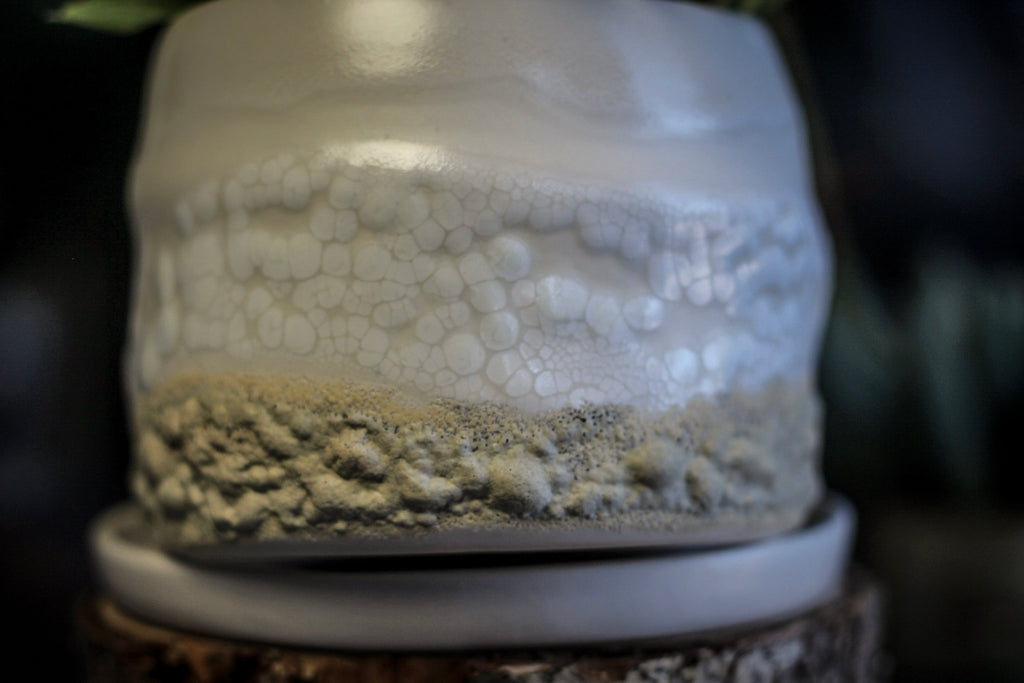 12-E EXPERIMENT Planter with Dish