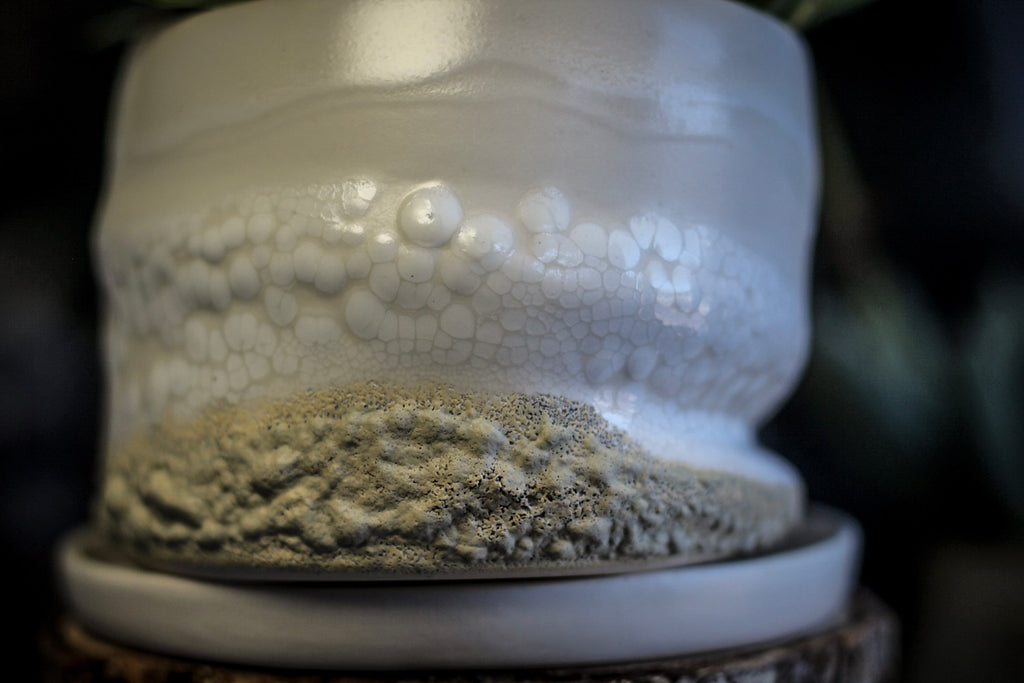 12-E EXPERIMENT Planter with Dish