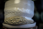 12-E EXPERIMENT Planter with Dish