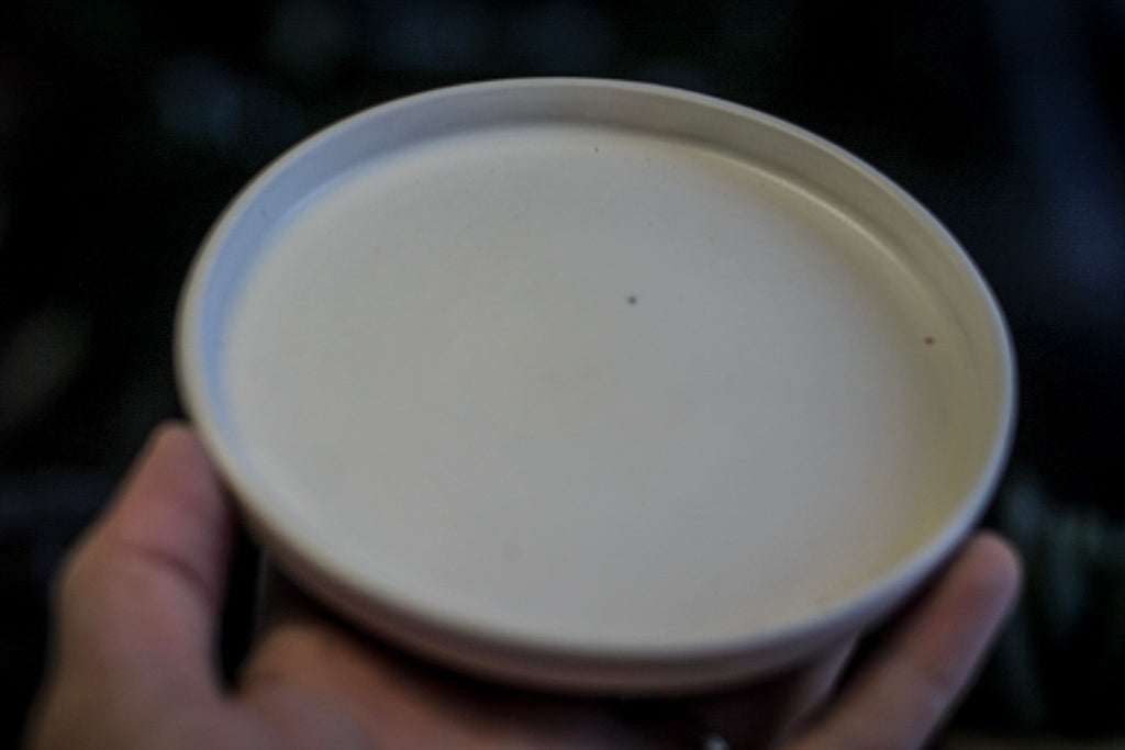 12-E EXPERIMENT Planter with Dish