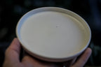 12-E EXPERIMENT Planter with Dish
