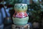 02-B Rainbow Serpent Acorn Gourd Mug - ODDBALL, 20 oz. - 15% off
