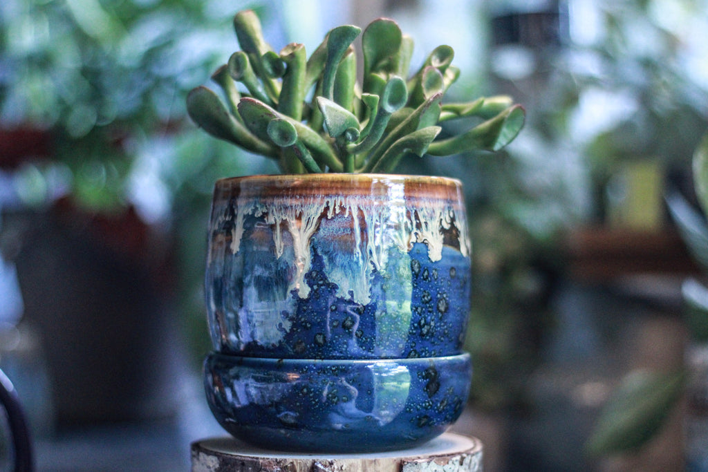 13-C New Wave Planter with Dish - ODDBALL, - 15% off