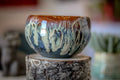 13-D New Wave Bowl, 20 oz.