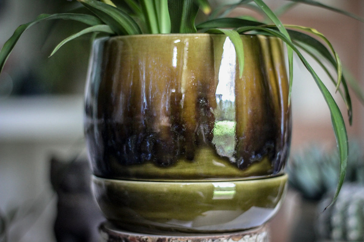 15-E EXPERIMENT Small Planter with Plate - MISFIT - 15% off