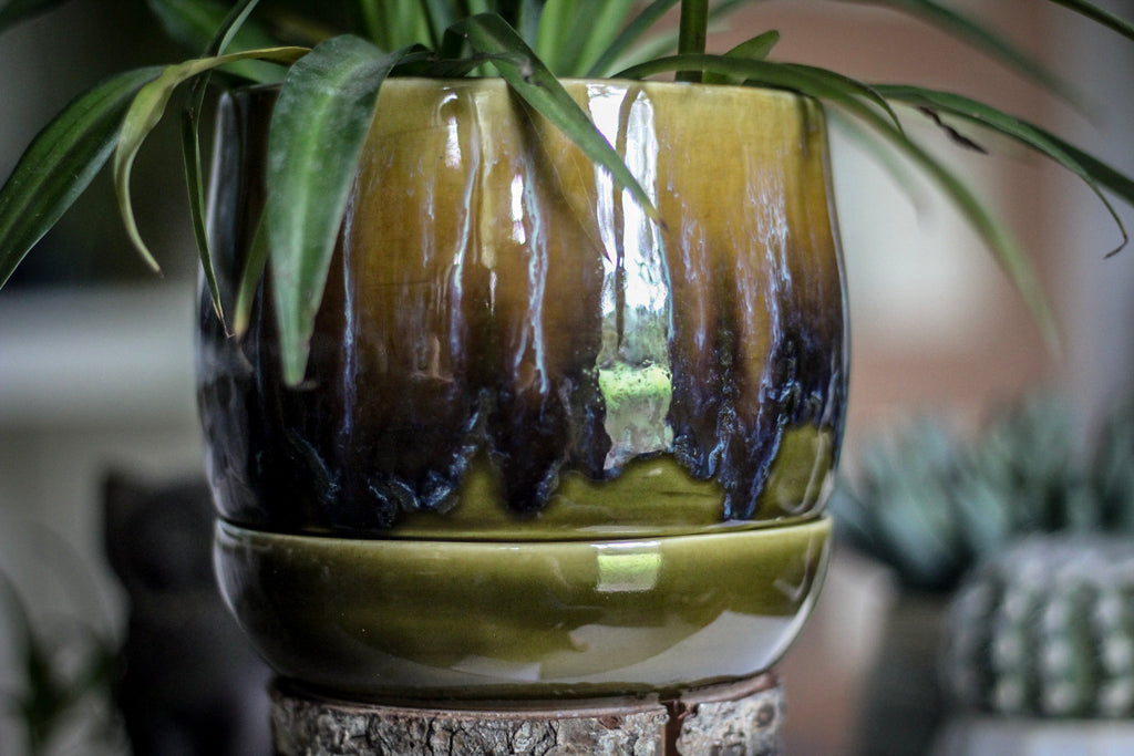 15-E EXPERIMENT Small Planter with Plate - MISFIT - 15% off
