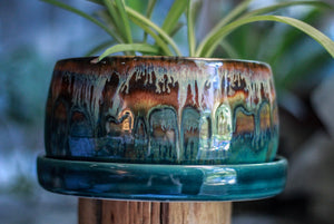 18-A New Earth Planter with Dish