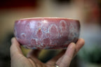 23  EXPERIMENT Small Bowl, 9 oz.