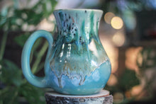 Load image into Gallery viewer, DRAWING WINNER 01-B Champlain Falls Barely Flared Acorn Mug - TOP SHELF MISFIT, 24 oz.