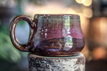 Load image into Gallery viewer, 18-F EXPERIMENT Acorn Mug, 17 oz.