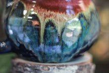 Load image into Gallery viewer, 15-B Starry Night Acorn Mug - TOP SHELF MISFIT, 34 oz.