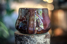 Load image into Gallery viewer, 18-F EXPERIMENT Acorn Mug, 17 oz.