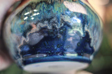 Load image into Gallery viewer, 15-B Starry Night Acorn Mug - TOP SHELF MISFIT, 34 oz.