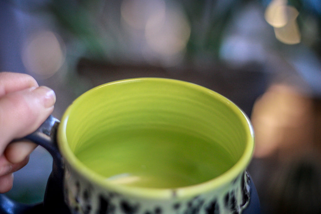 18-F PROTOTYPE Squat Mug, 15 oz.