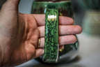 18-C Lizard King Gourd Mug - TOP SHELF, 17 oz.