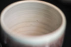 18-B Sonora Snow Gourd Mug, 22 oz.