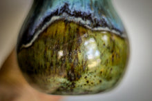 Load image into Gallery viewer, 18-E Spanish Moss Gourd Mug, 17 oz.
