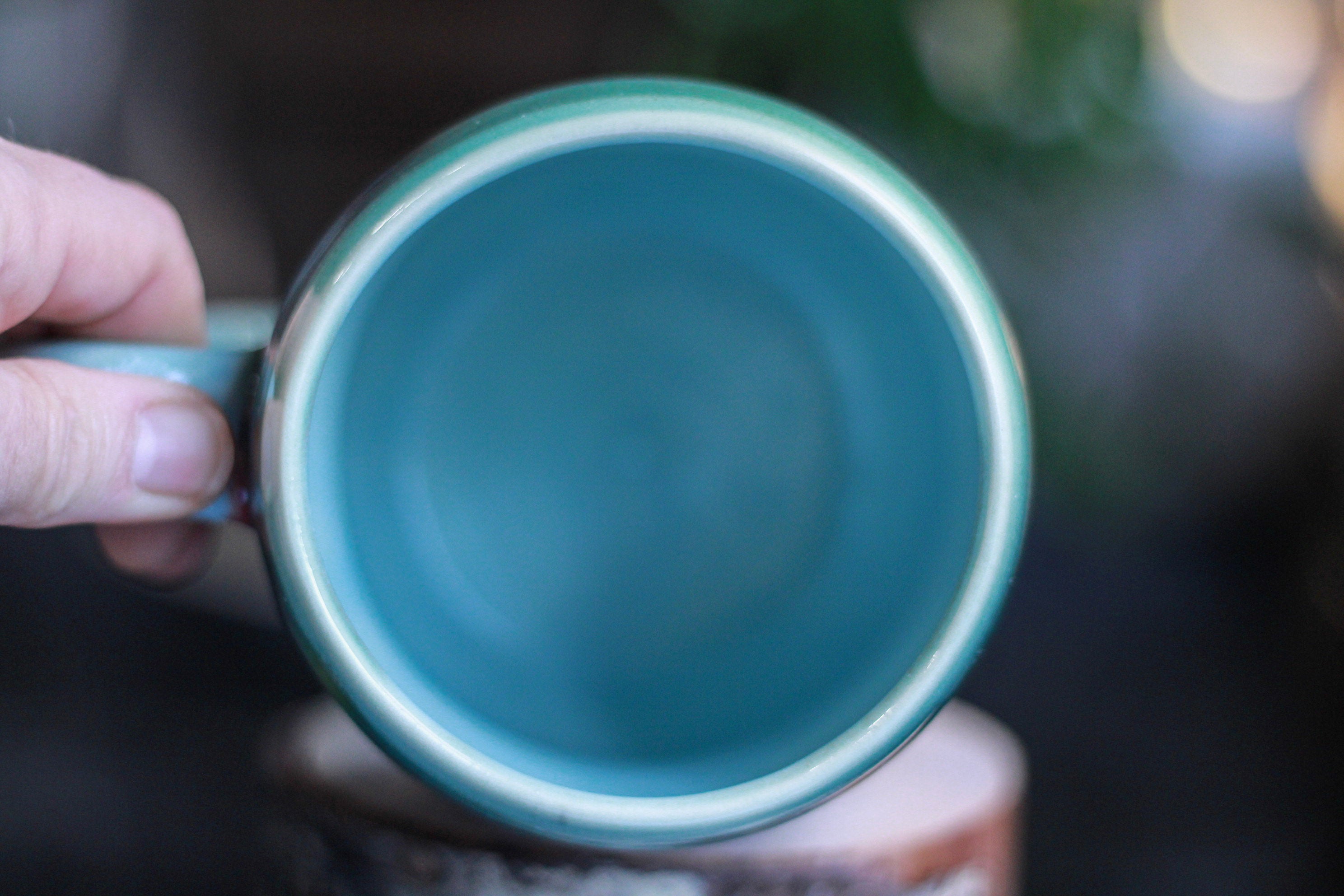 02-B Sonora Gourd Mug, 20 oz.