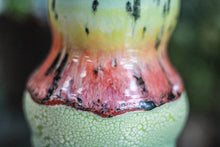 Load image into Gallery viewer, 02-B Rainbow Serpent Acorn Gourd Mug - ODDBALL, 20 oz. - 15% off