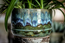 Load image into Gallery viewer, 19-E Spanish Moss Planter - MISFIT, 5% off