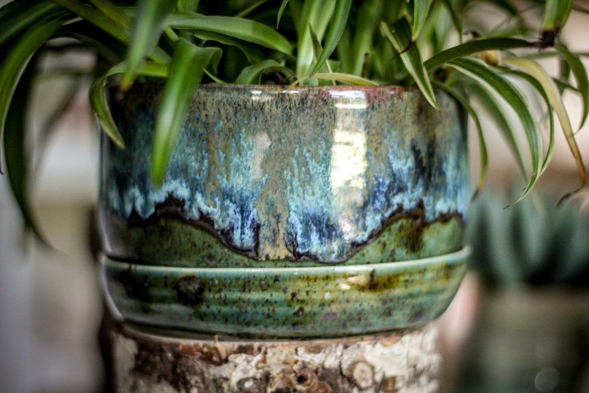 19-E Spanish Moss Planter - MISFIT, 5% off