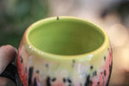18-B Desert Rainbow Gourd Mug, 26 oz.