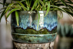 19-E Spanish Moss Planter - MISFIT, 5% off