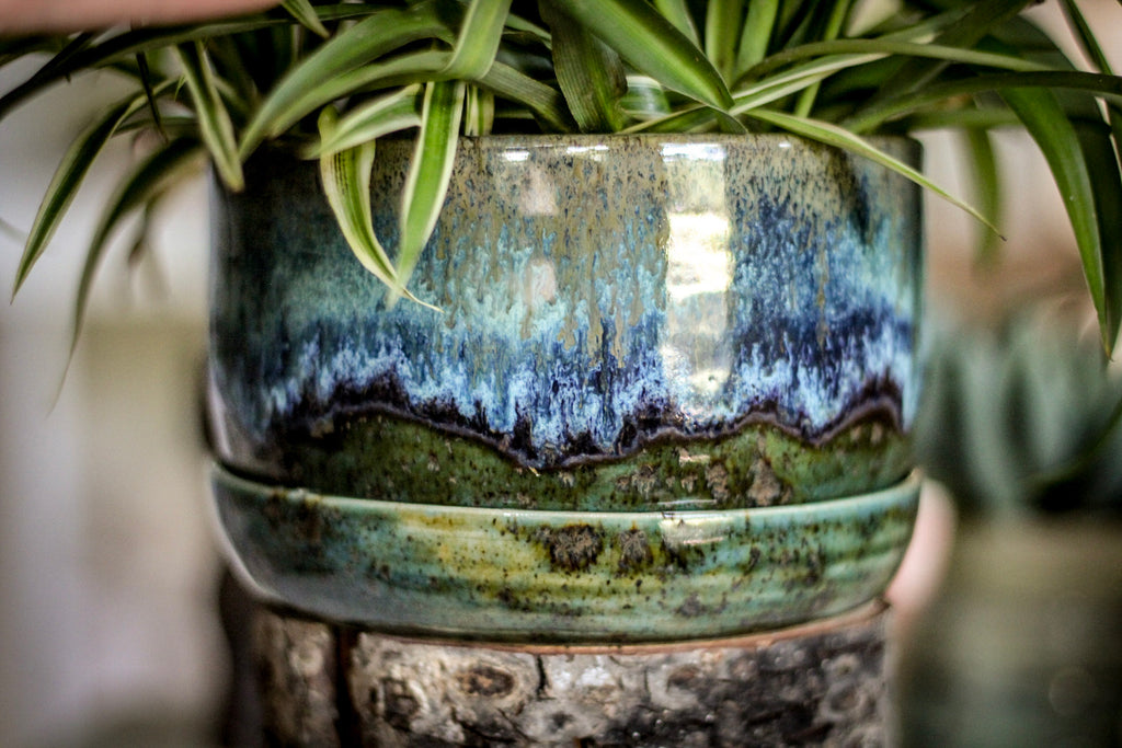 19-E Spanish Moss Planter - MISFIT, 5% off