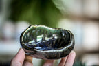 20-H EXPERIMENT Treasure Dish, 2 oz.