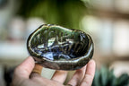 20-H EXPERIMENT Treasure Dish, 2 oz.