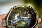 20-H EXPERIMENT Treasure Dish, 2 oz.